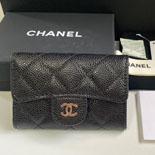 ���� �Ż� �������� ī������ AP0219-1 ��/����