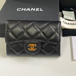 ���� �Ż� �������� ī������ AP0219-2 ��/����
