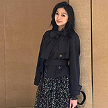 ������ ���� ���� ML9453