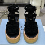 ����� 26SS ���� ���� XH68216-1 5CM  2���÷� 