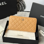 ����  ���� ������ AP0242